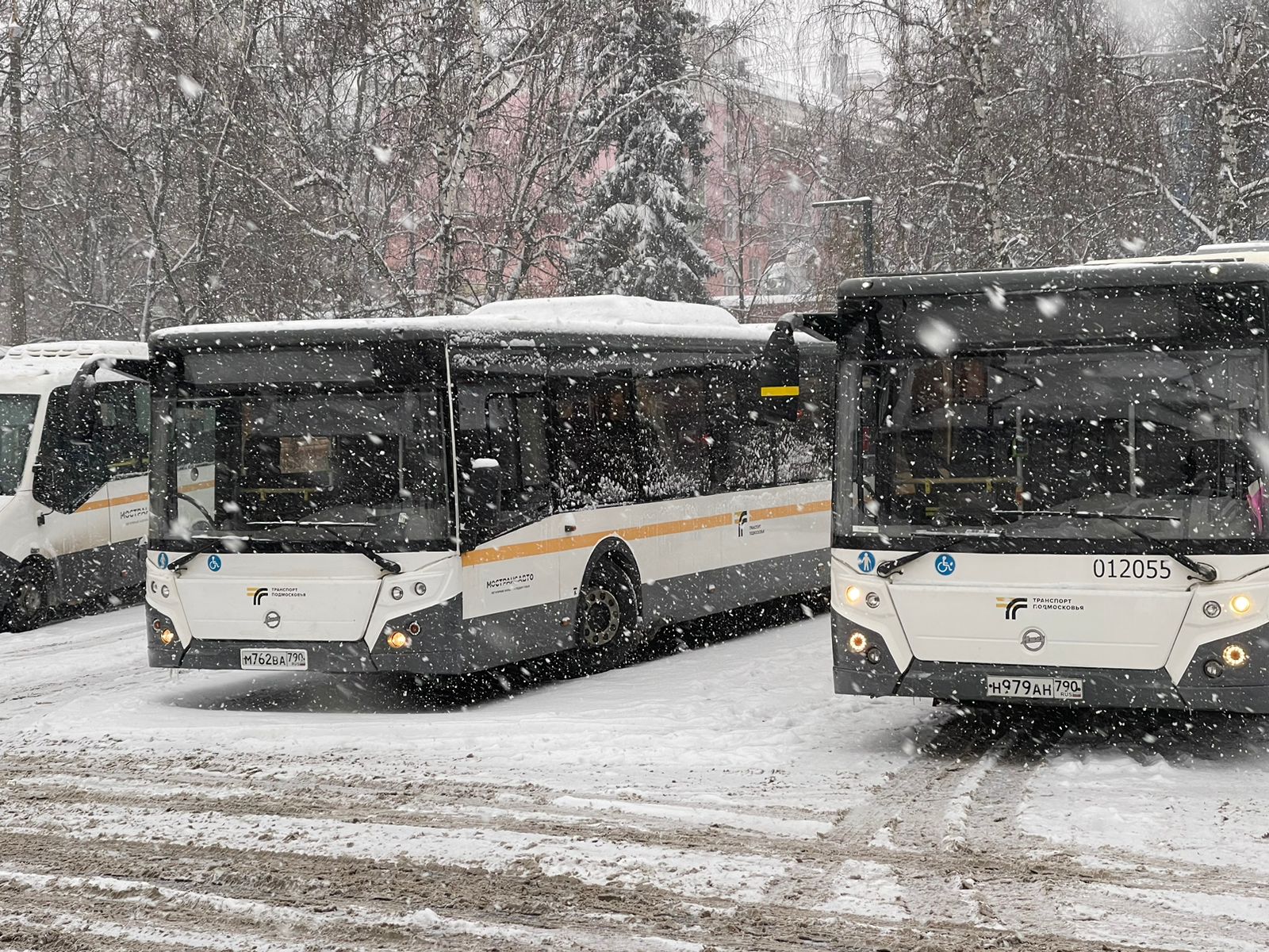 В Люберцах в крещенскую ночь продлят работу 13 маршрутов общественного  транспорта | Администрация городского округа Люберцы Московской области